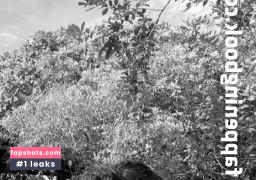 Barbara Paz gallery photo #2