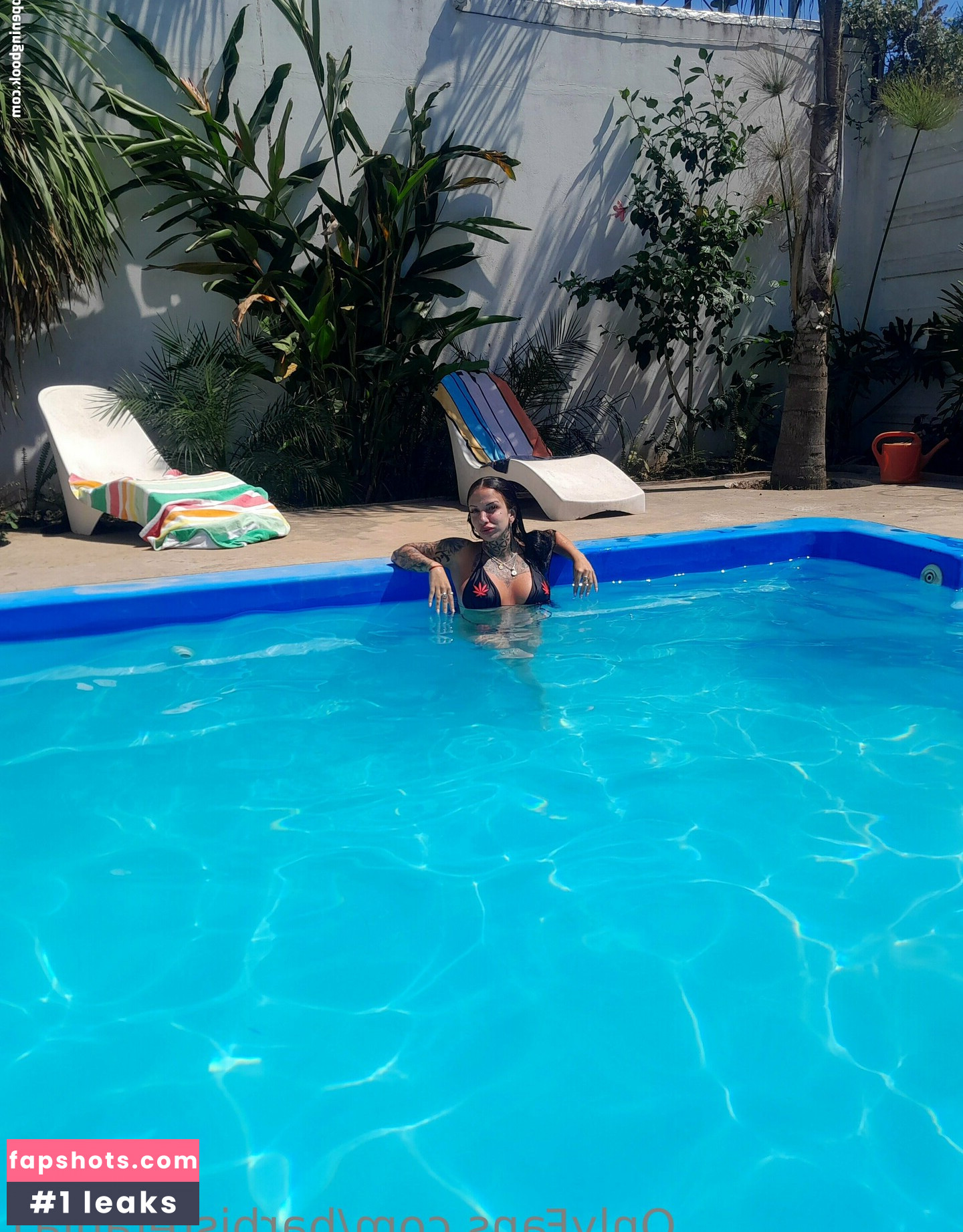 barbistefania1 gallery photo #5