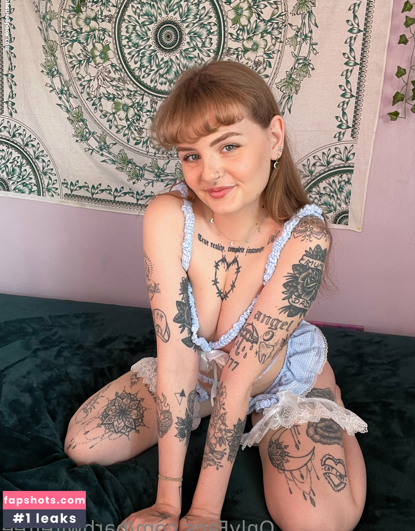 barbwirefree gallery photo #19