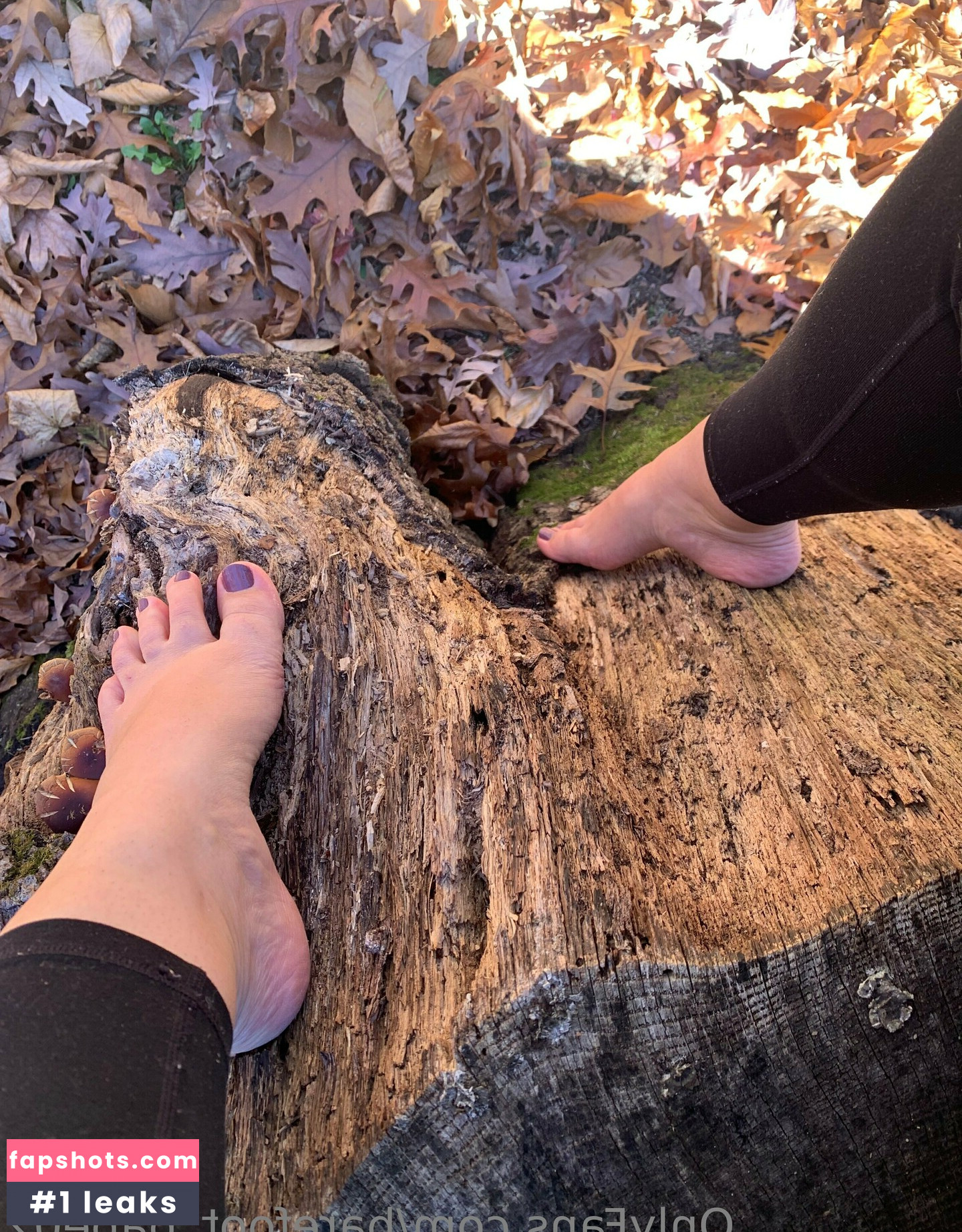 barefoot_babe02 gallery photo #7