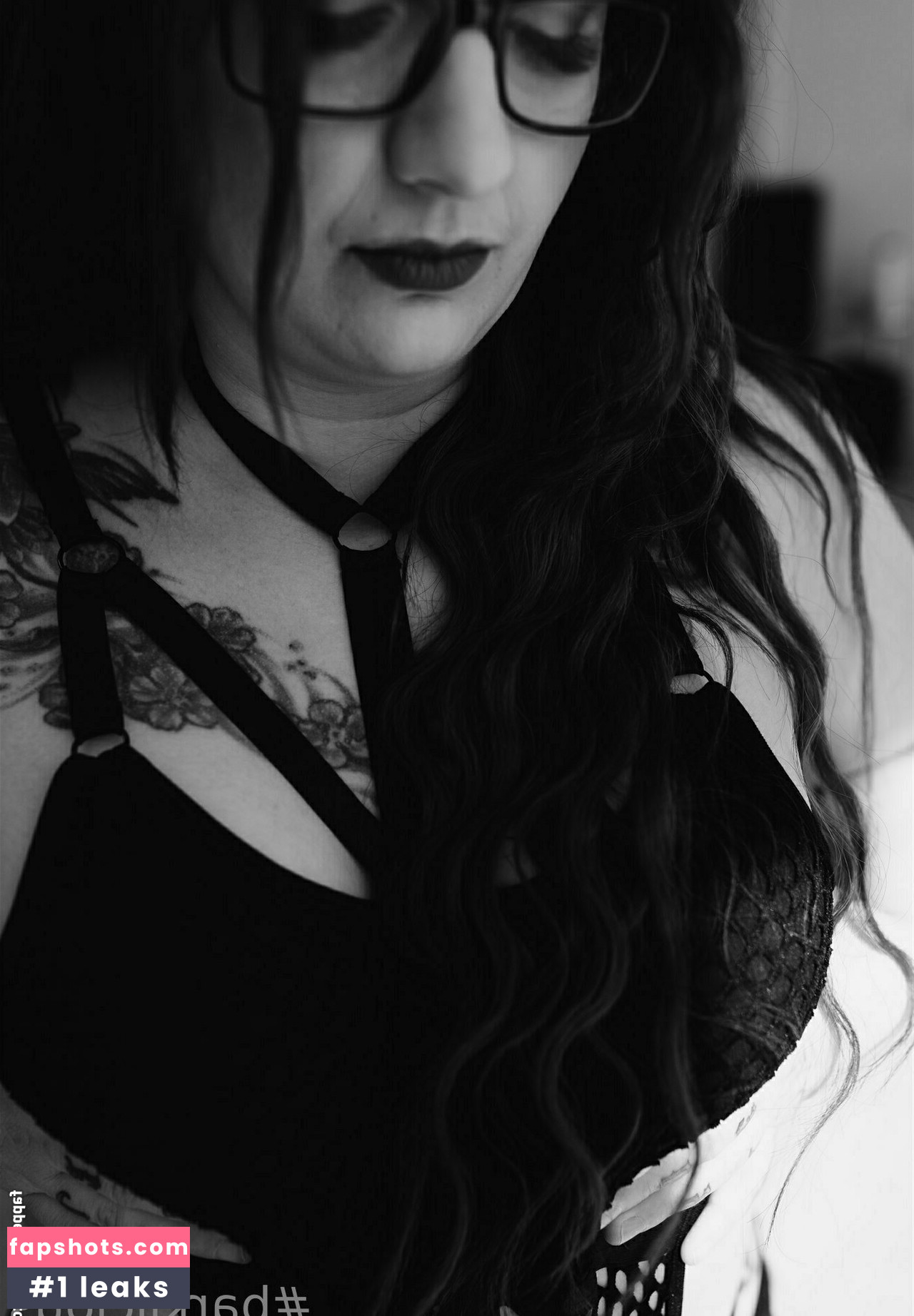 barklicious gallery photo #11