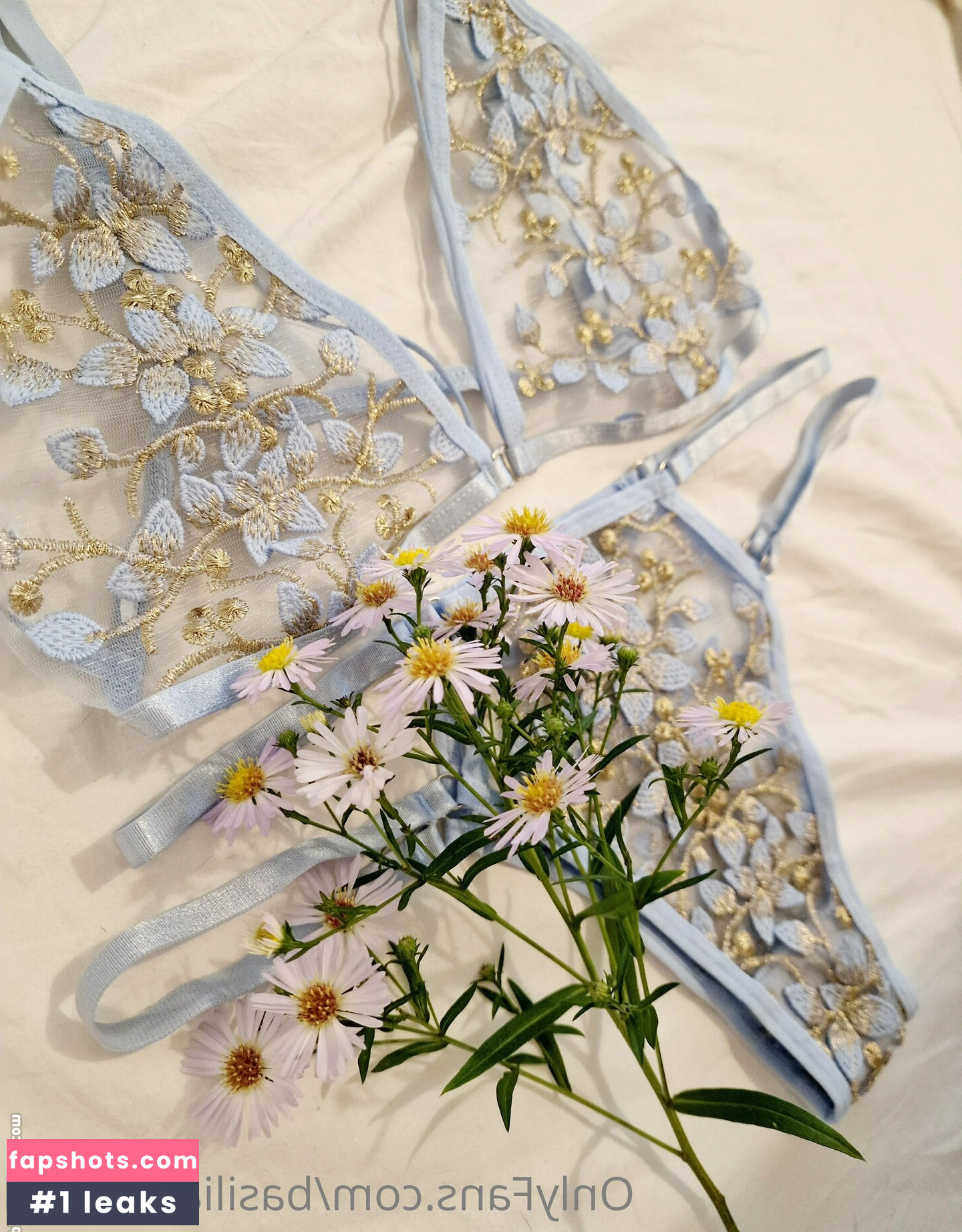 basiliablakwall Nahé úniky fotek pouze od fanoušků #12 - Fapshots