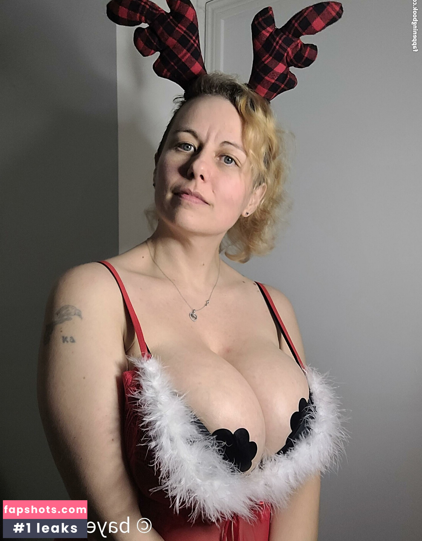 BayesiaNash gallery photo #69