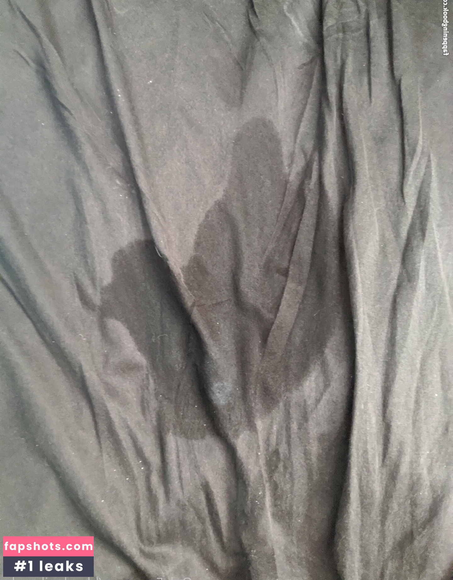 bbwdanibrooke gallery photo #2