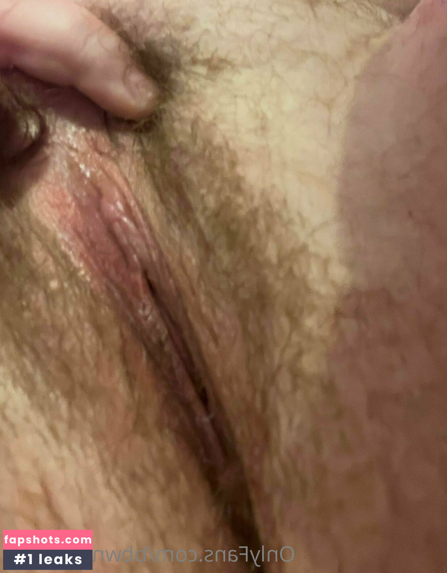 bbwnudiebum gallery photo #2