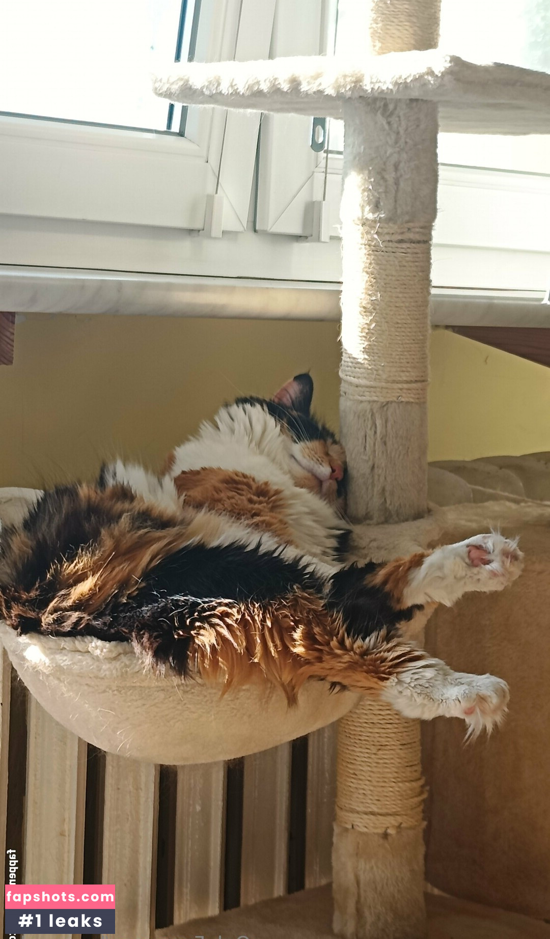 be-my-sky Nahé úniky fotek pouze od fanoušků #16 - Fapshots