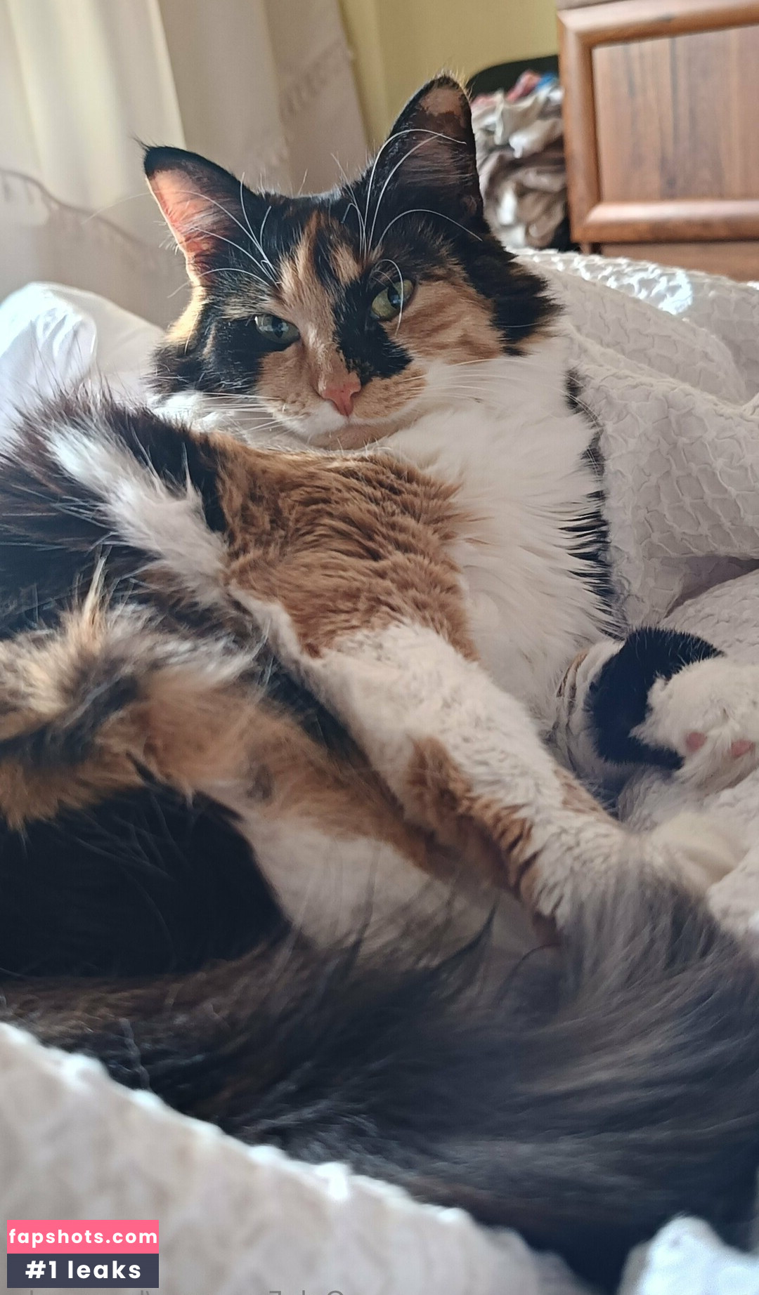 be-my-sky Nahé úniky fotek pouze od fanoušků #21 - Fapshots