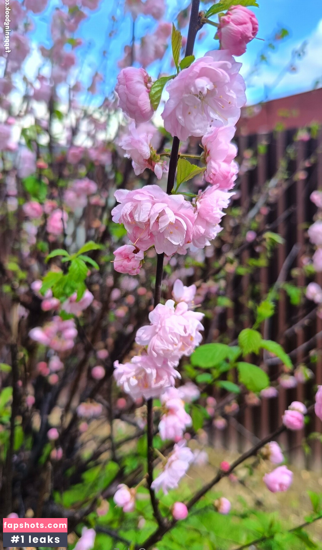 be-my-sky Nahé úniky fotek pouze od fanoušků #6 - Fapshots
