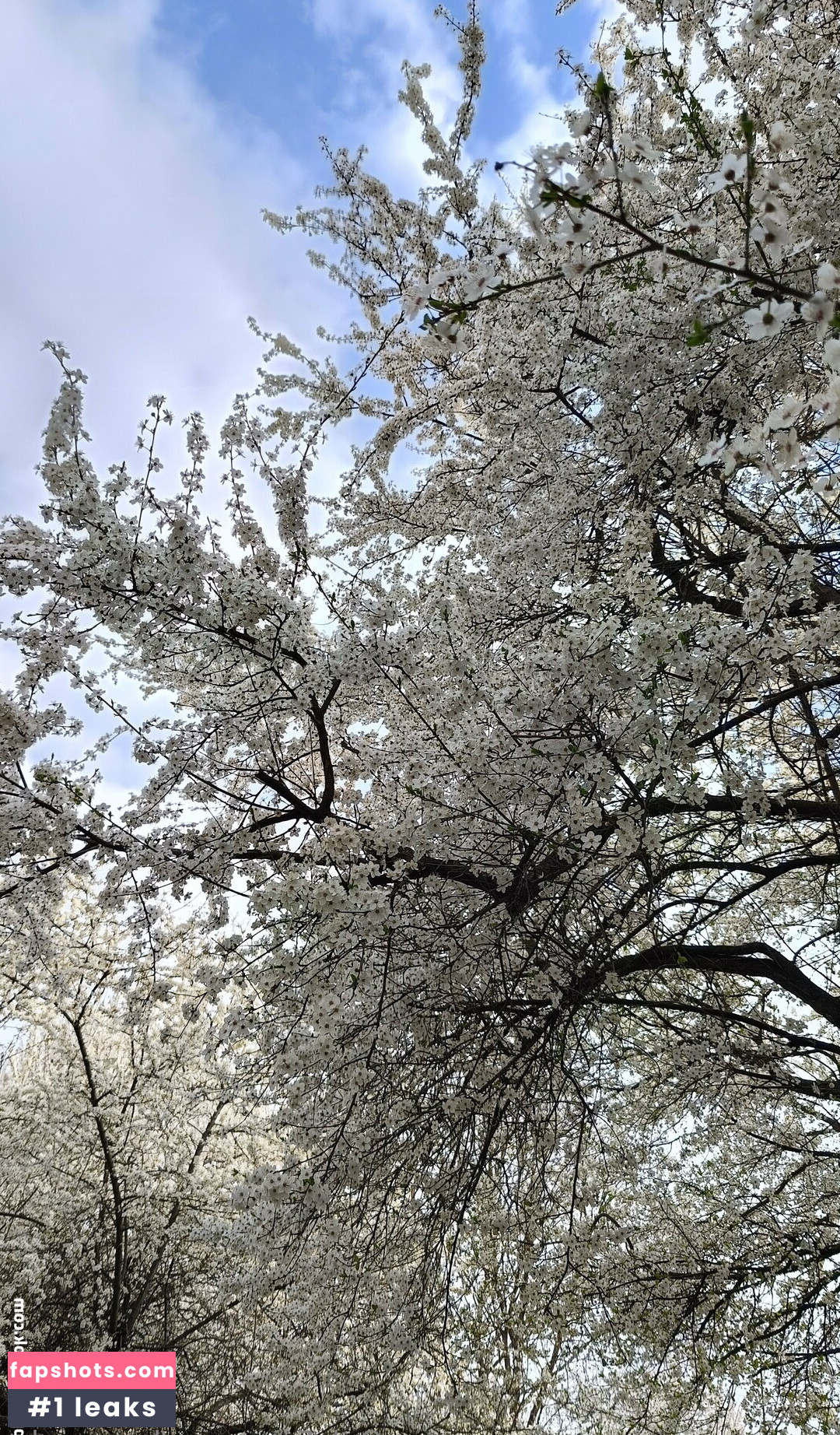 be-my-sky Nahé úniky fotek pouze od fanoušků #7 - Fapshots