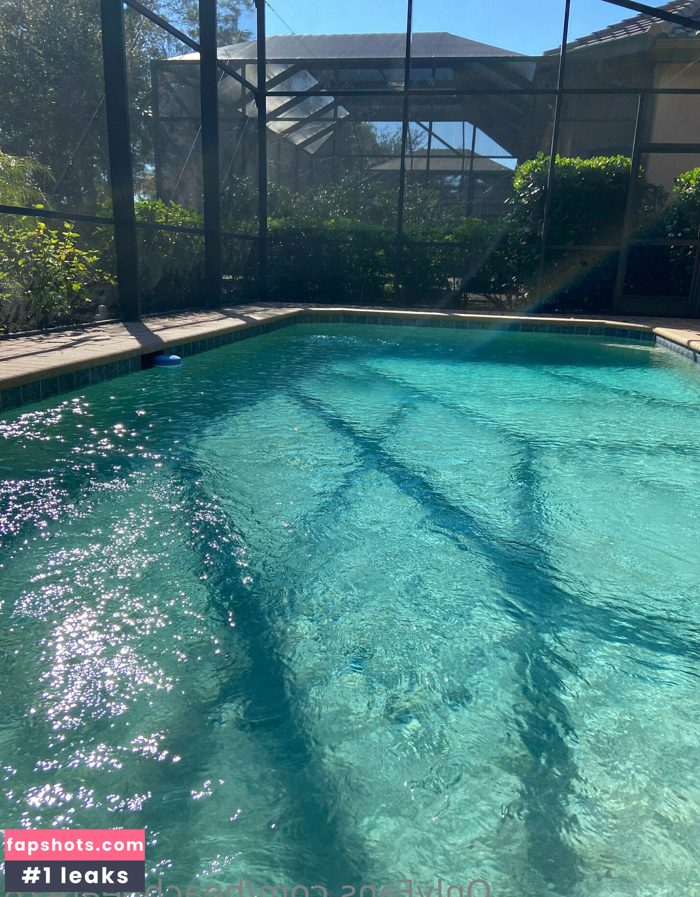 beachbear428 gallery photo #22