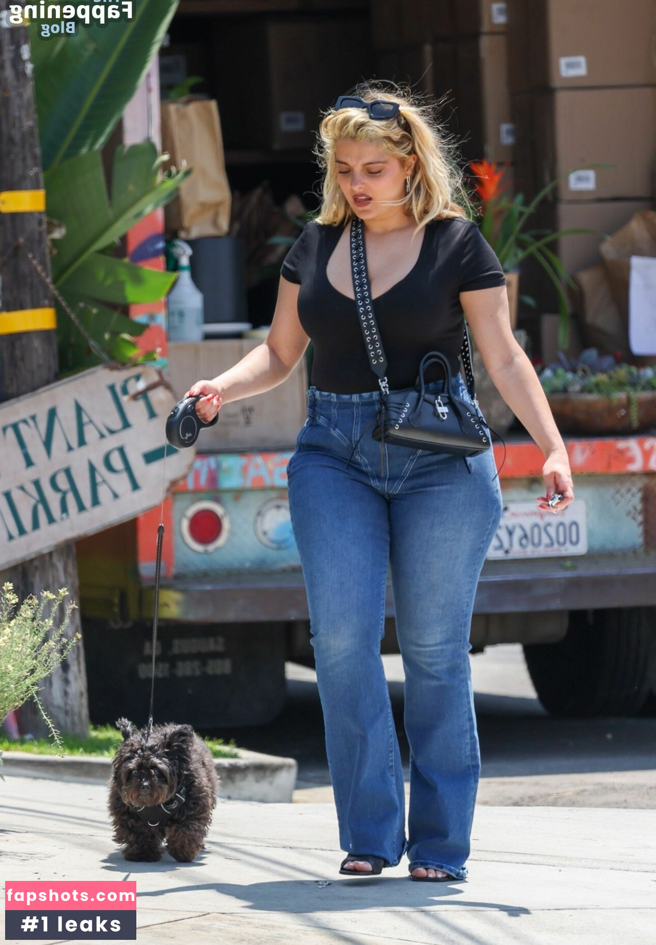 Bebe Rexha Nahé úniky fotek pouze od fanoušků #269 - Fapshots