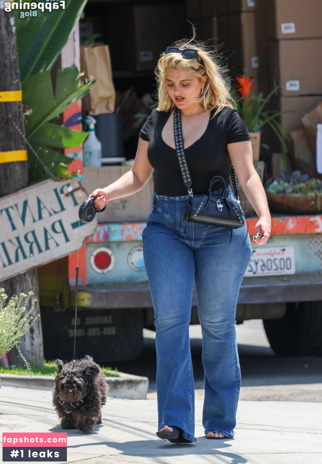 Bebe Rexha Nahé úniky fotek pouze od fanoušků #280 - Fapshots