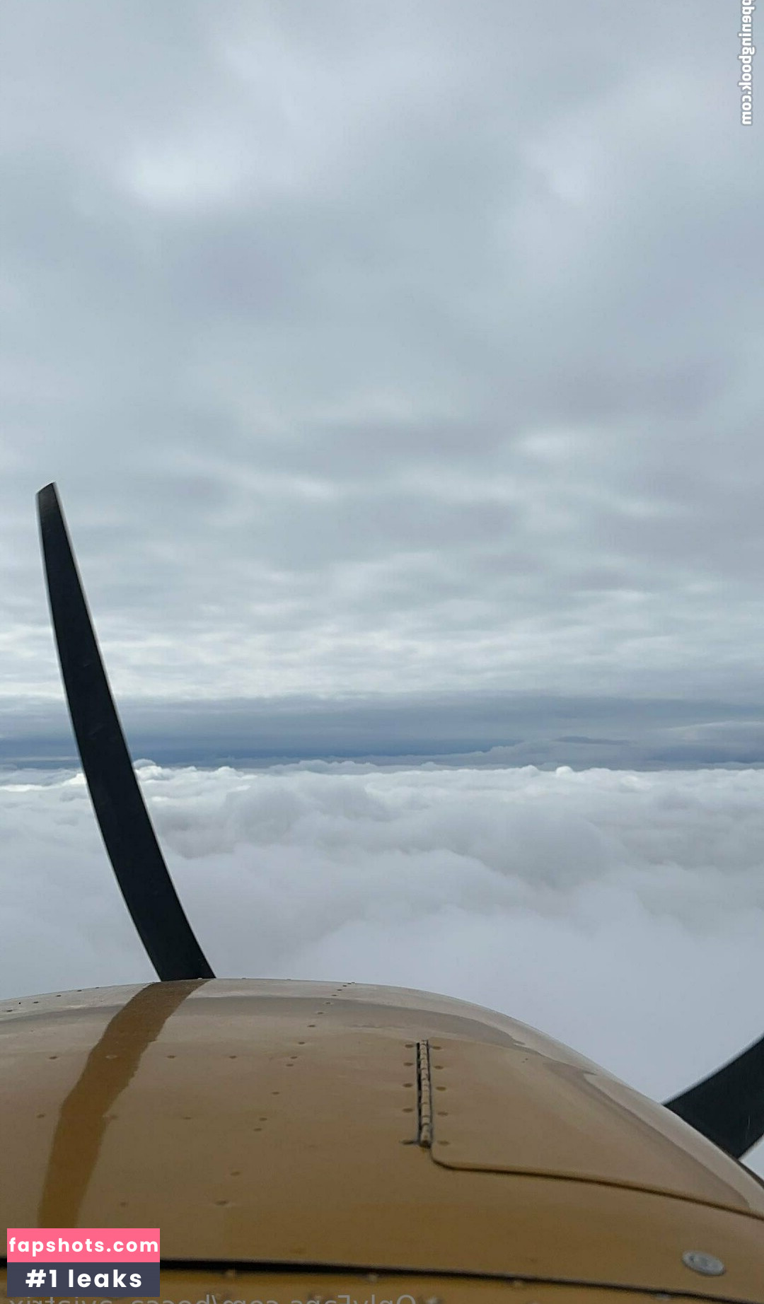 becca_aviatrix Nude Leaks OnlyFans Photos #22 - LeakJerk