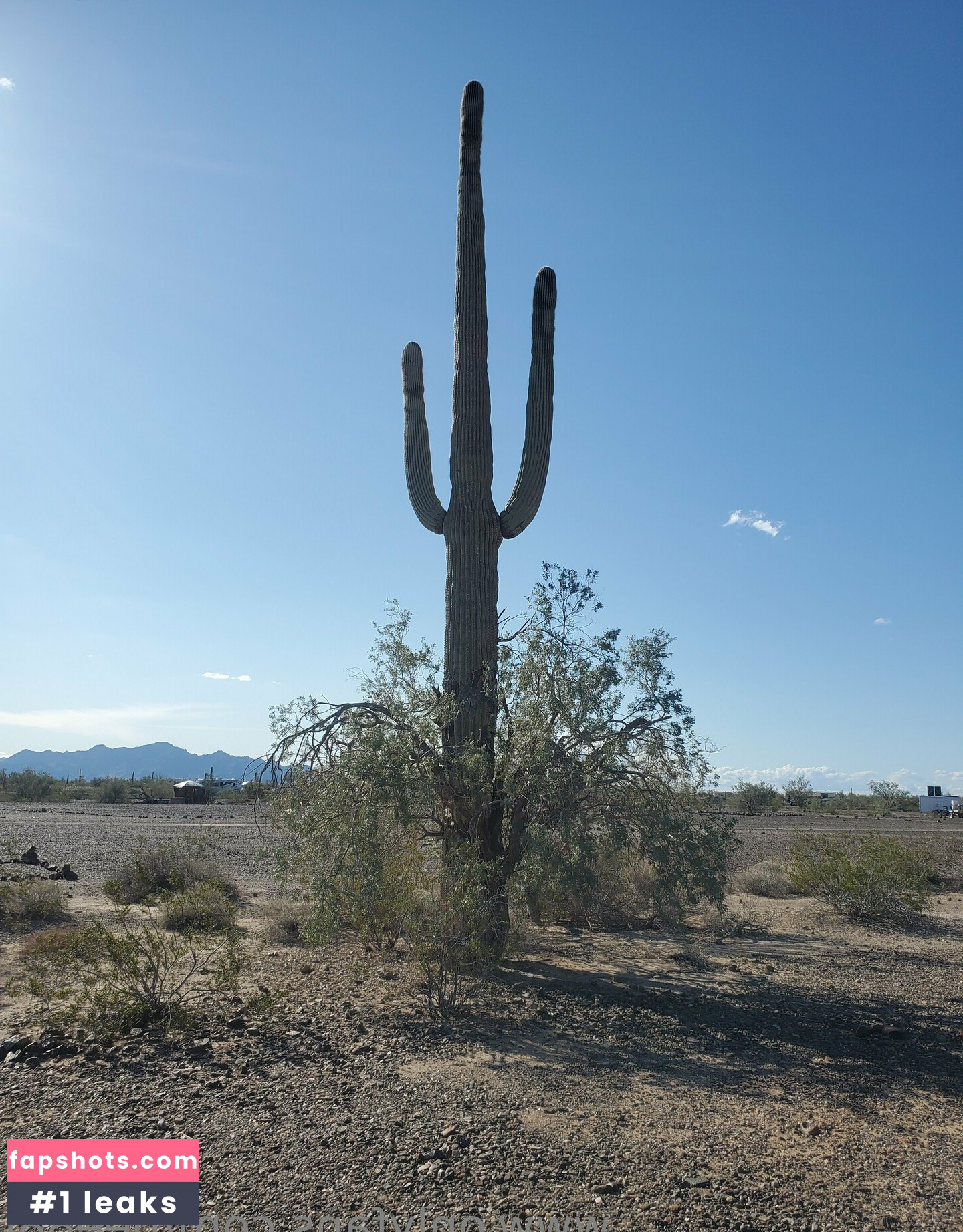 bee88i Nahé úniky fotek pouze od fanoušků #102 - Fapshots