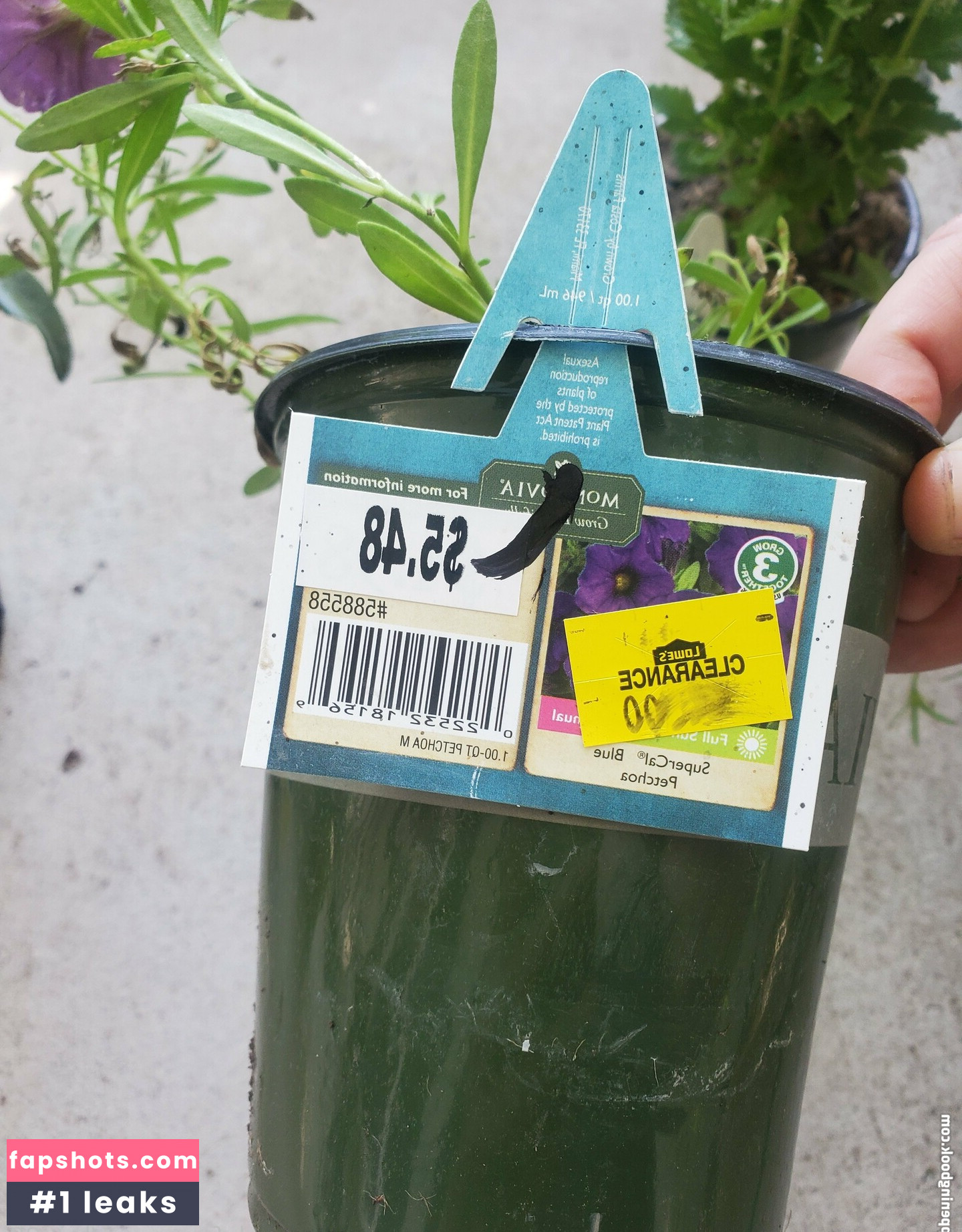 bee88i Nahé úniky fotek pouze od fanoušků #112 - Fapshots