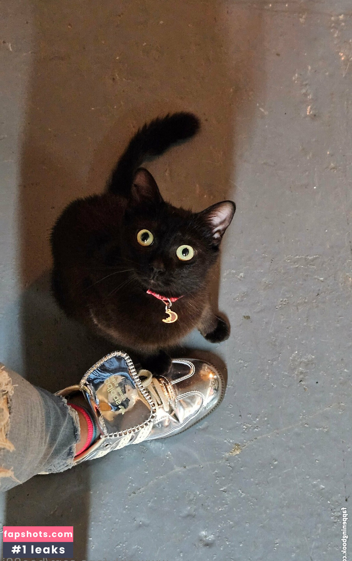 bee88i Nahé úniky fotek pouze od fanoušků #43 - Fapshots