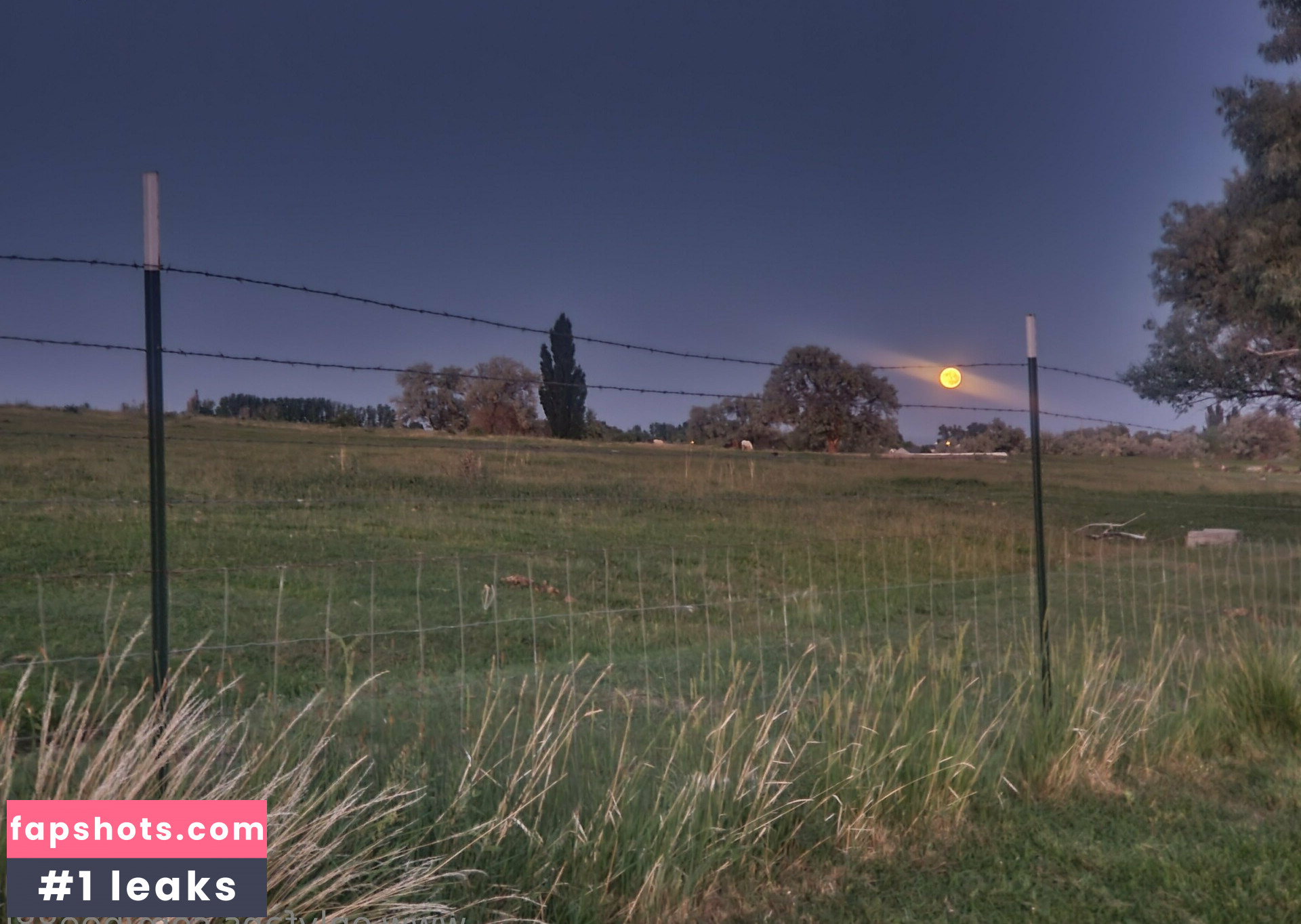 bee88i Nahé úniky fotek pouze od fanoušků #63 - Fapshots