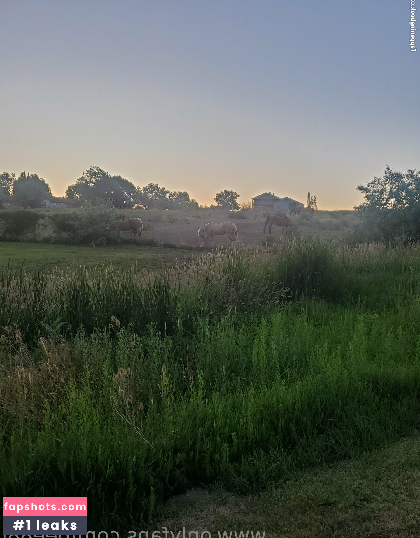 bee88i Nahé úniky fotek pouze od fanoušků #73 - Fapshots