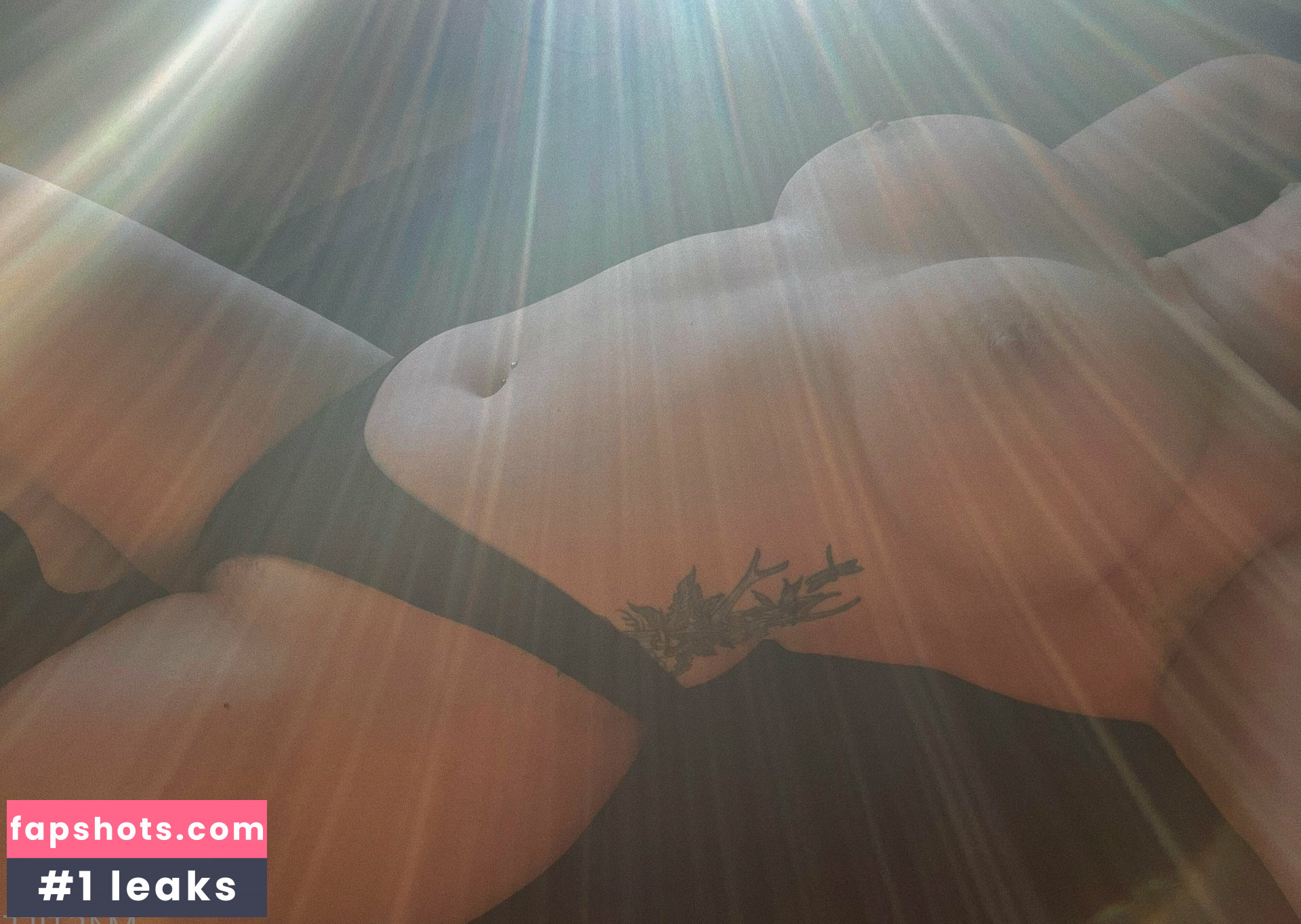 Beebinch gallery photo #96