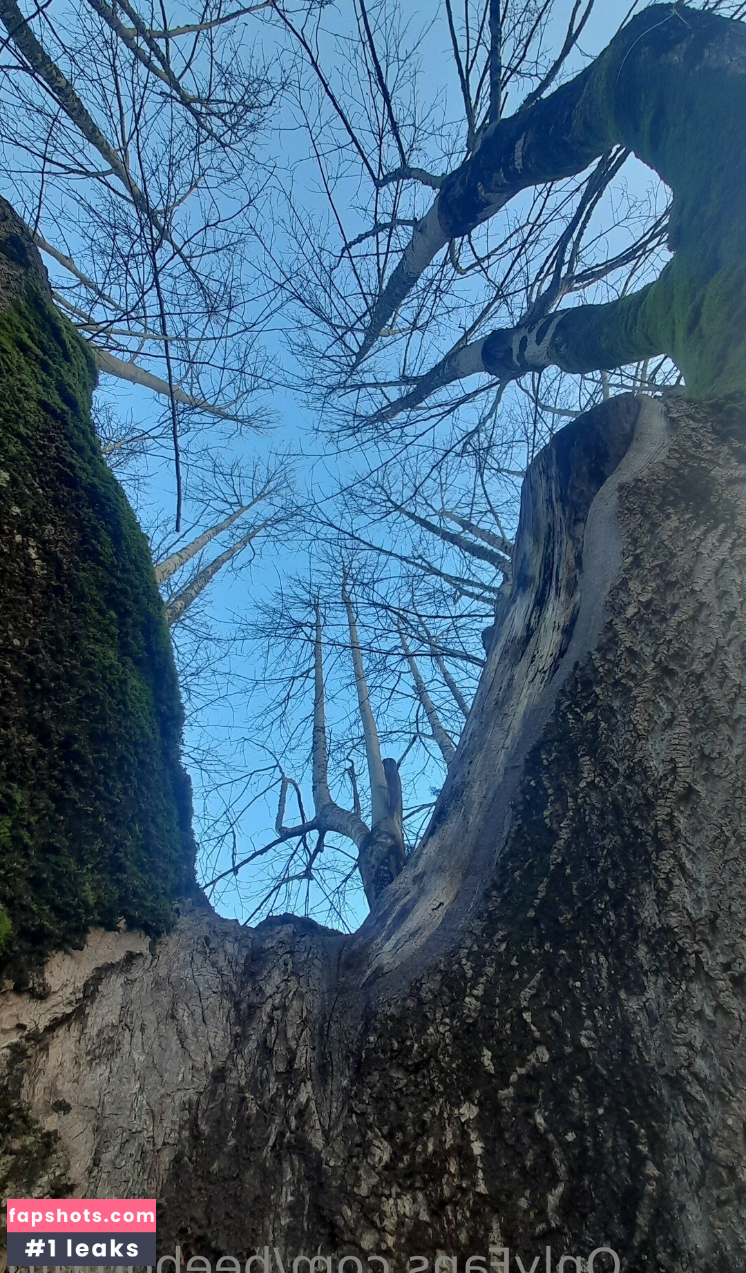 beeboo.girl gallery photo #13