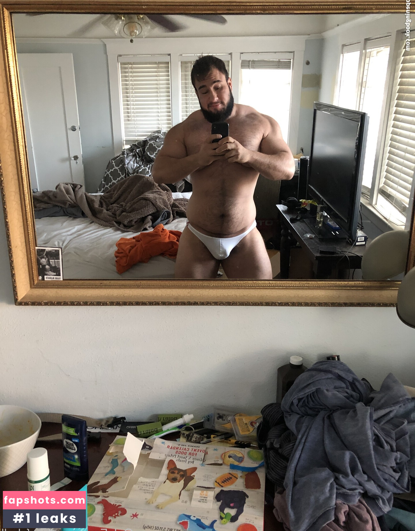 beefybull gallery photo #11