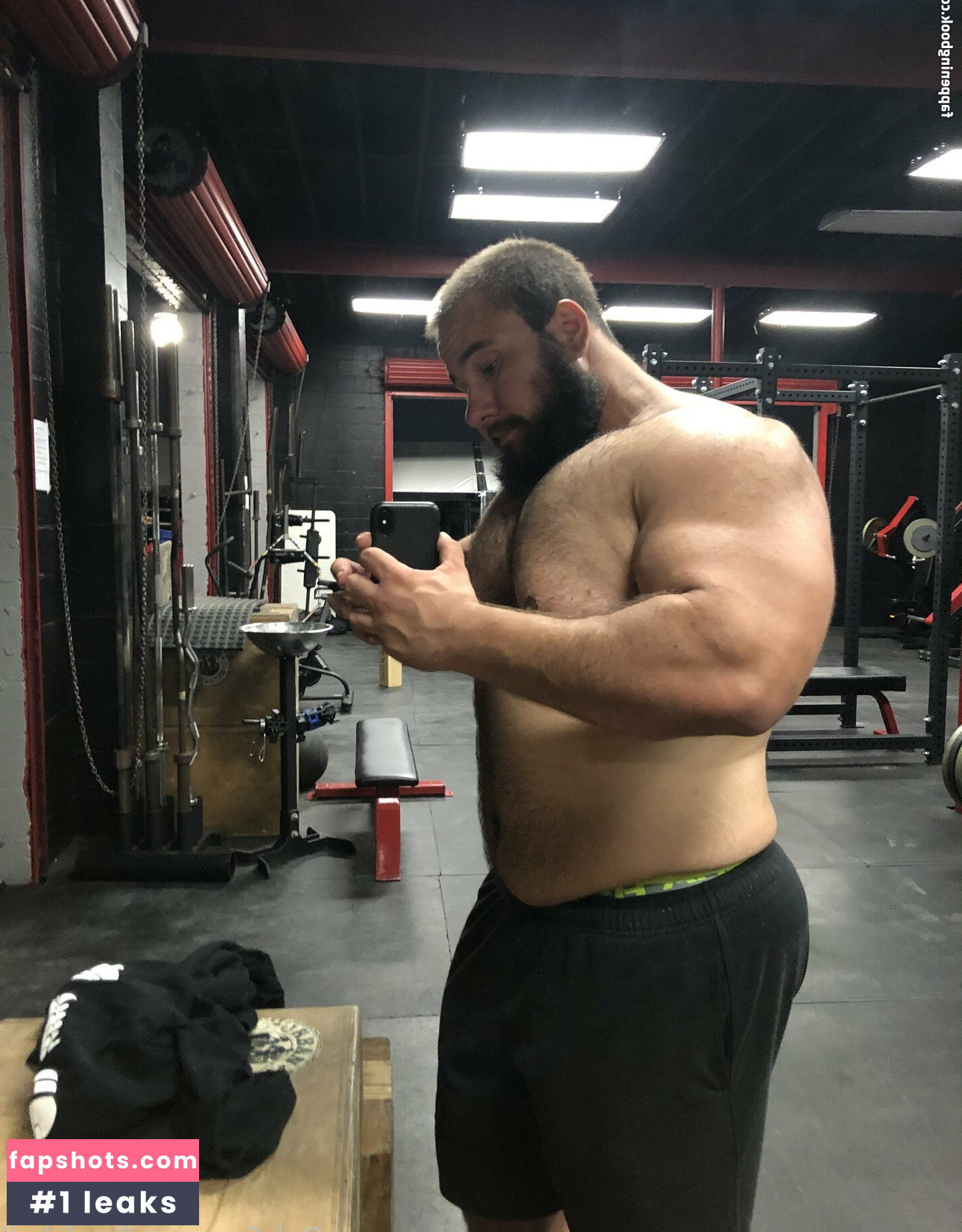 beefybull gallery photo #10