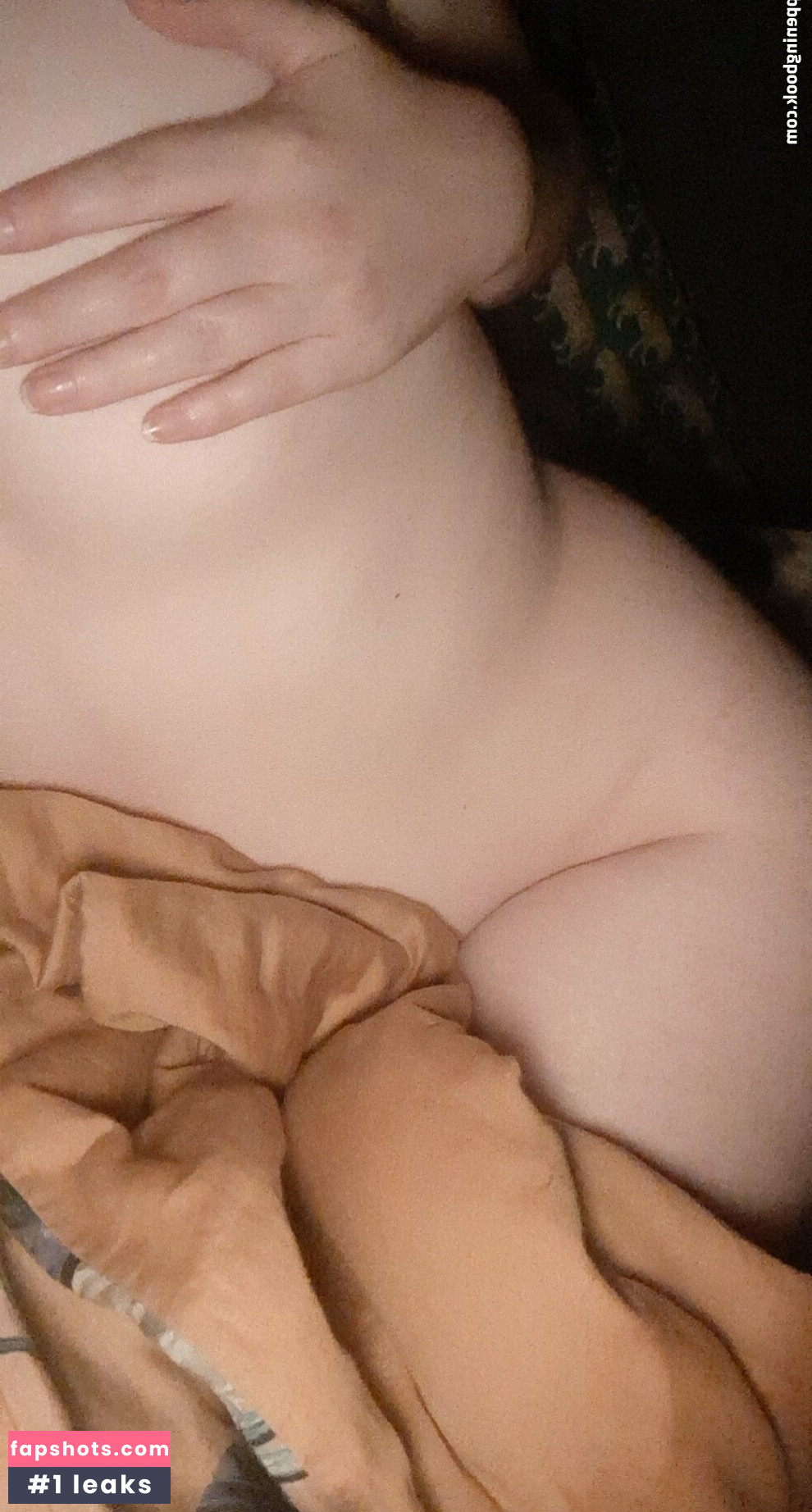 beelou gallery photo #36