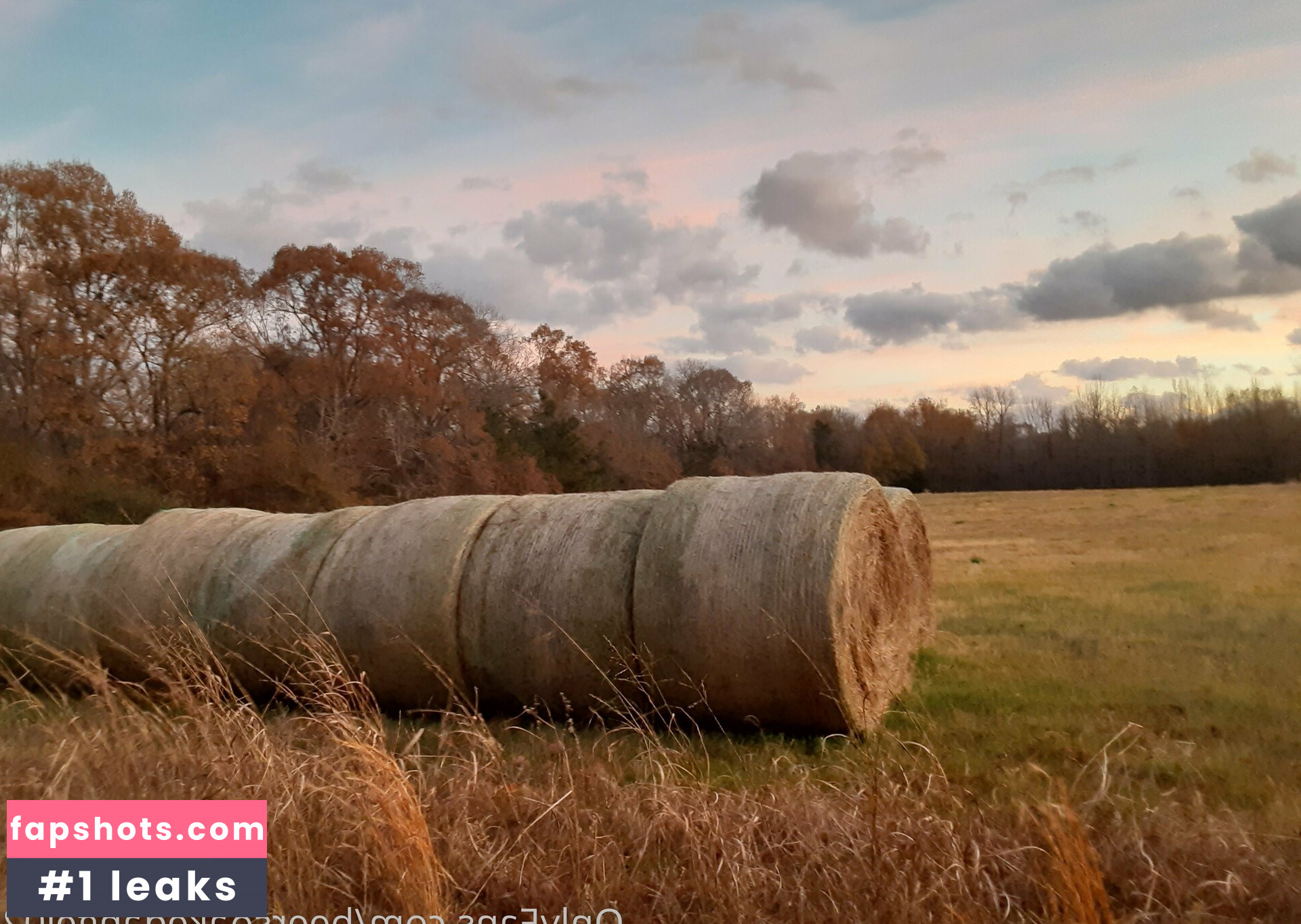 beersoakedangel02 gallery photo #10