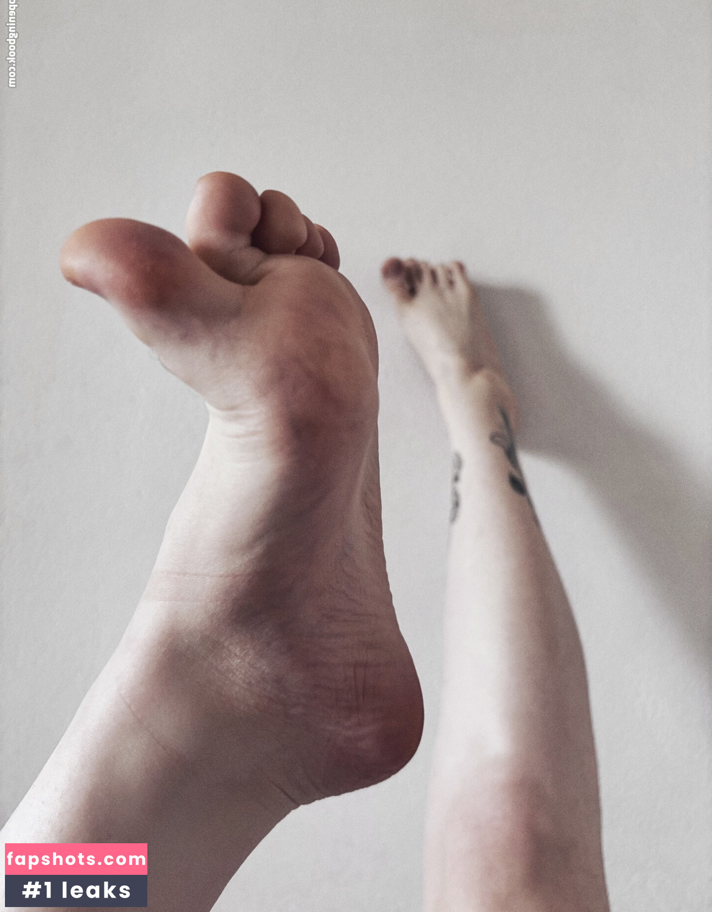 beezzz Nacktheit OnlyFans Fotos #8 - Fapshots