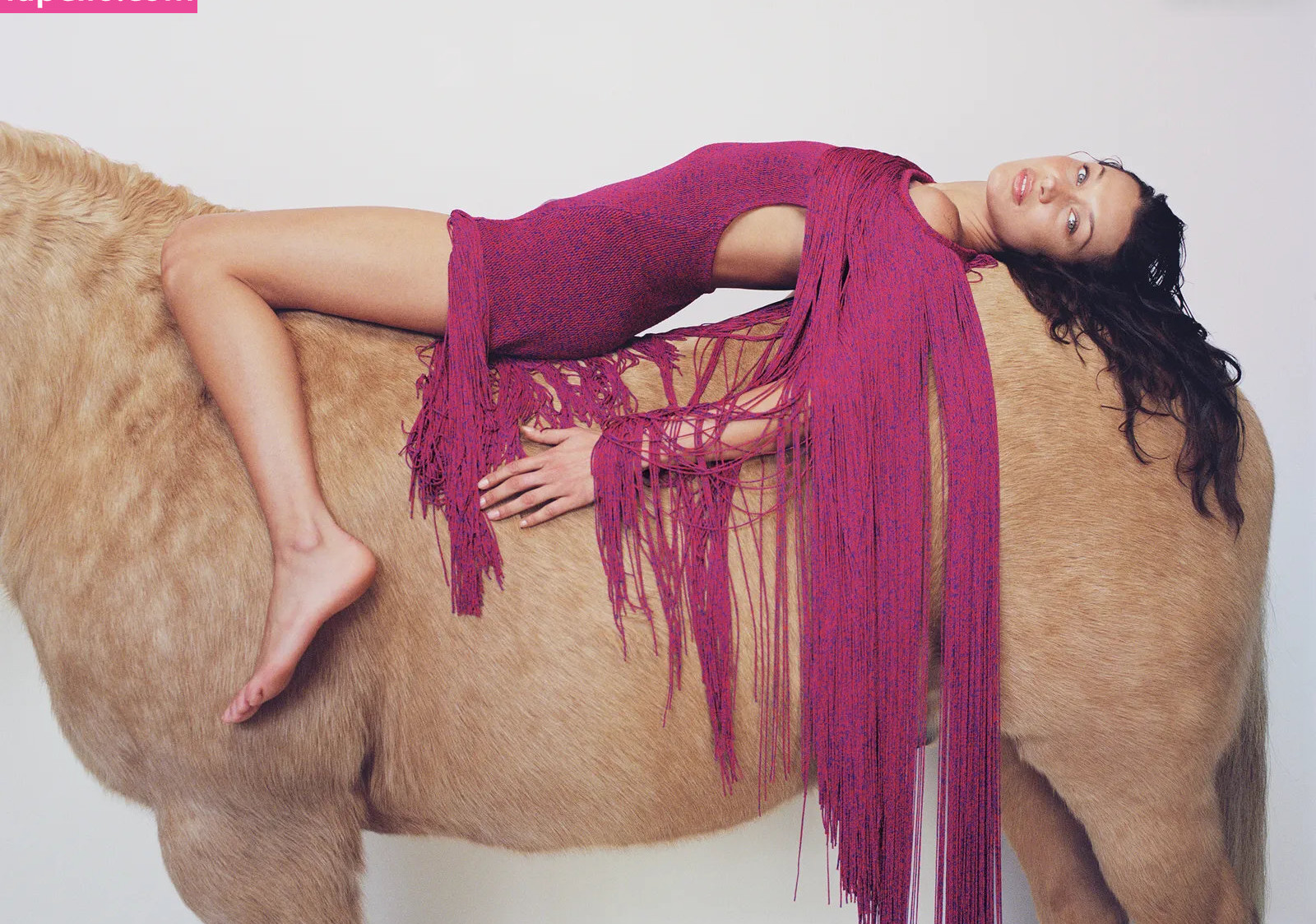 bella-hadid gallery photo #862