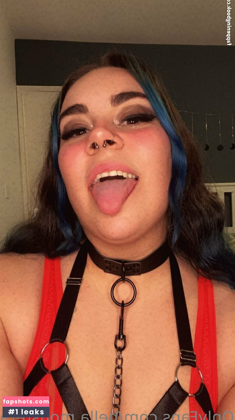 bella.monstera gallery photo #10