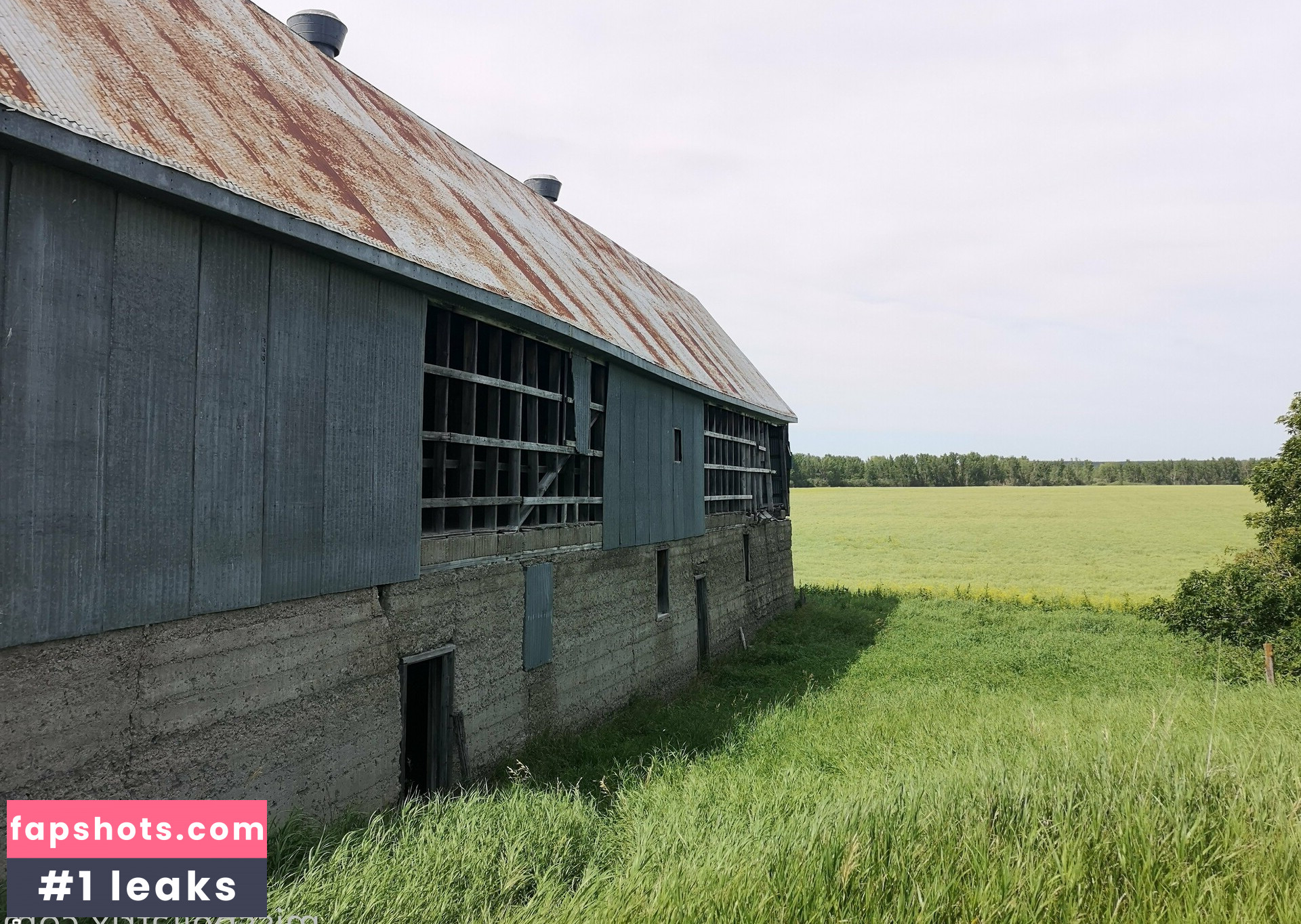 bellatrix gallery photo #41