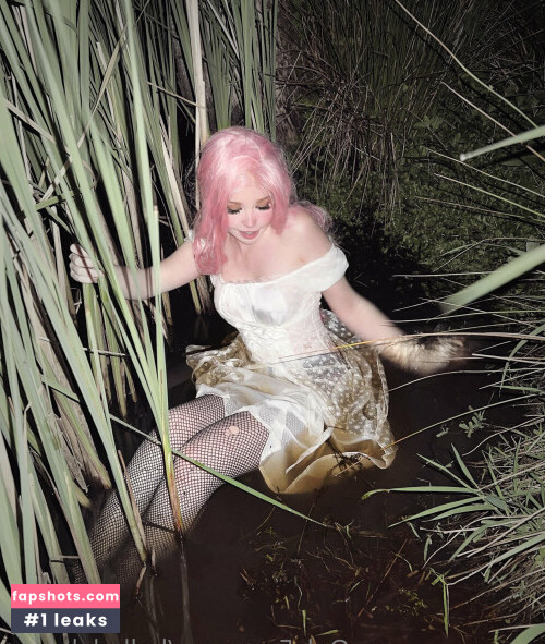 Belle Delphine gallery photo #10682