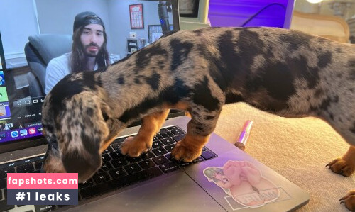 Belle Delphine gallery photo #10809