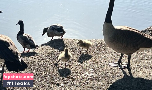 Belle Delphine gallery photo #9010