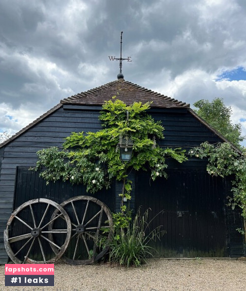 Belle Delphine gallery photo #9861