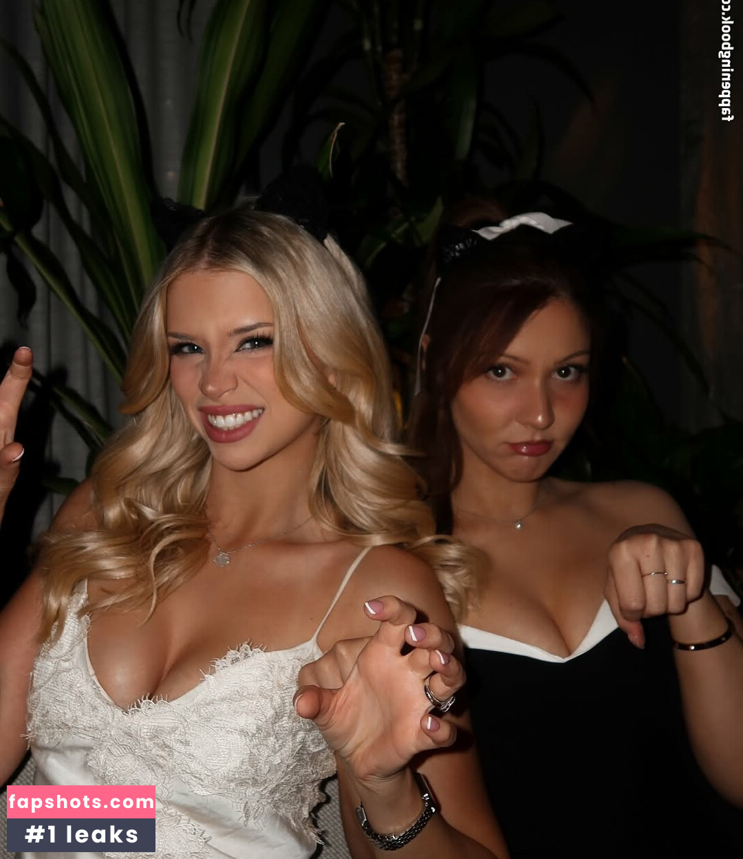 Berticuss gallery photo #3