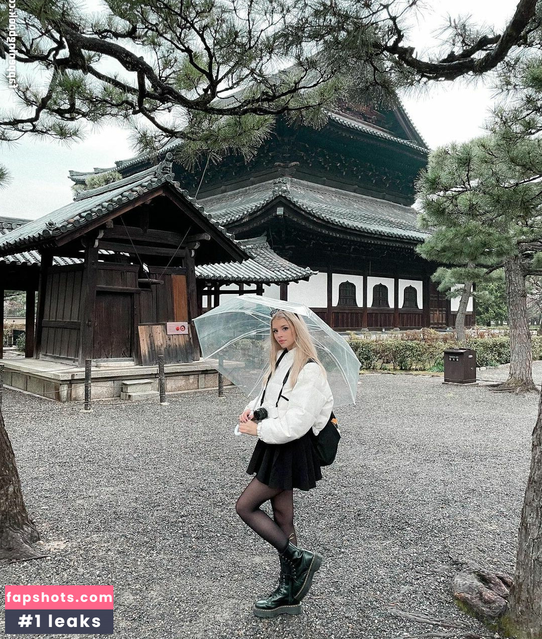 Berticuss gallery photo #207