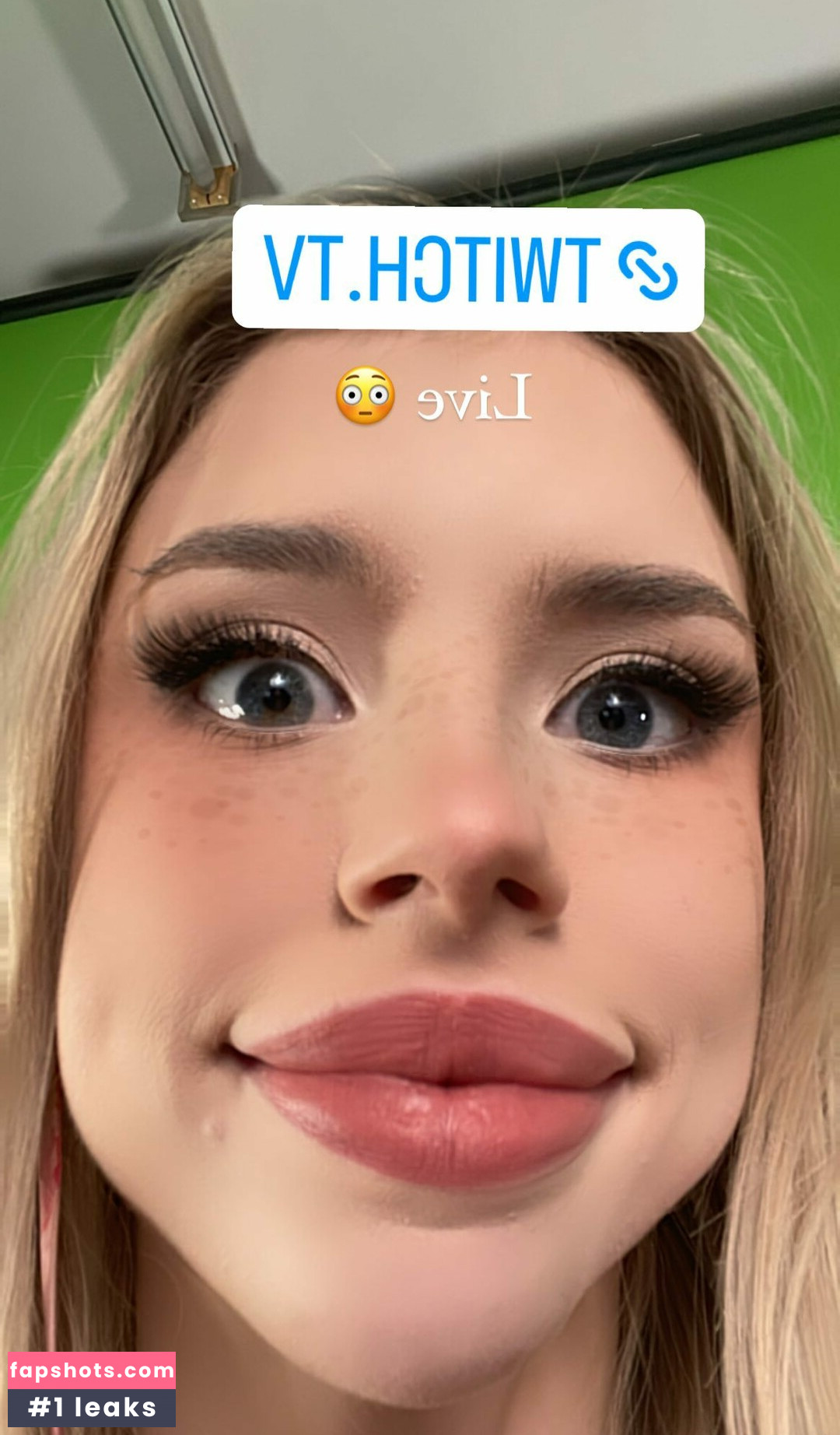 Berticuss gallery photo #227