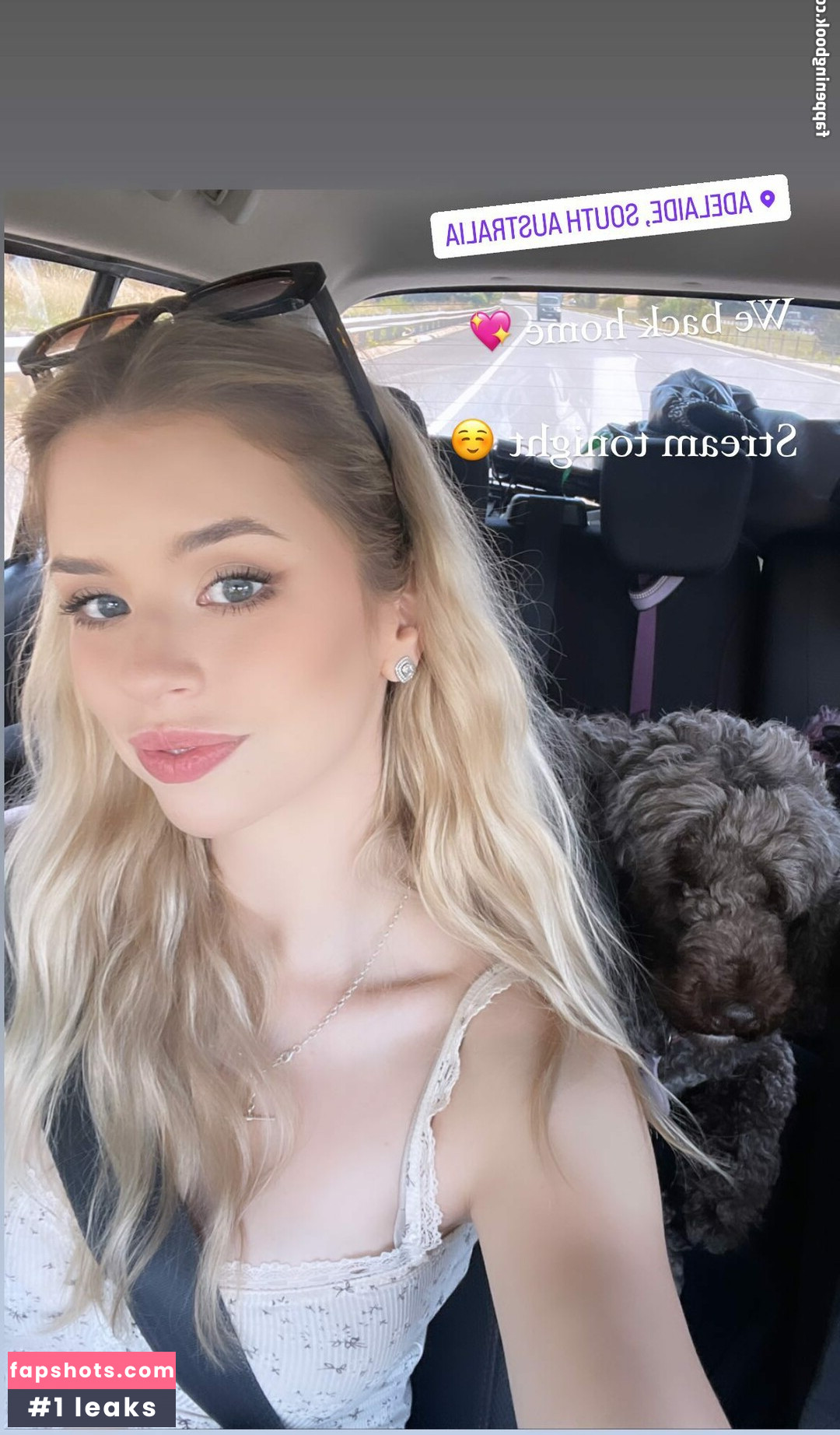 Berticuss gallery photo #231