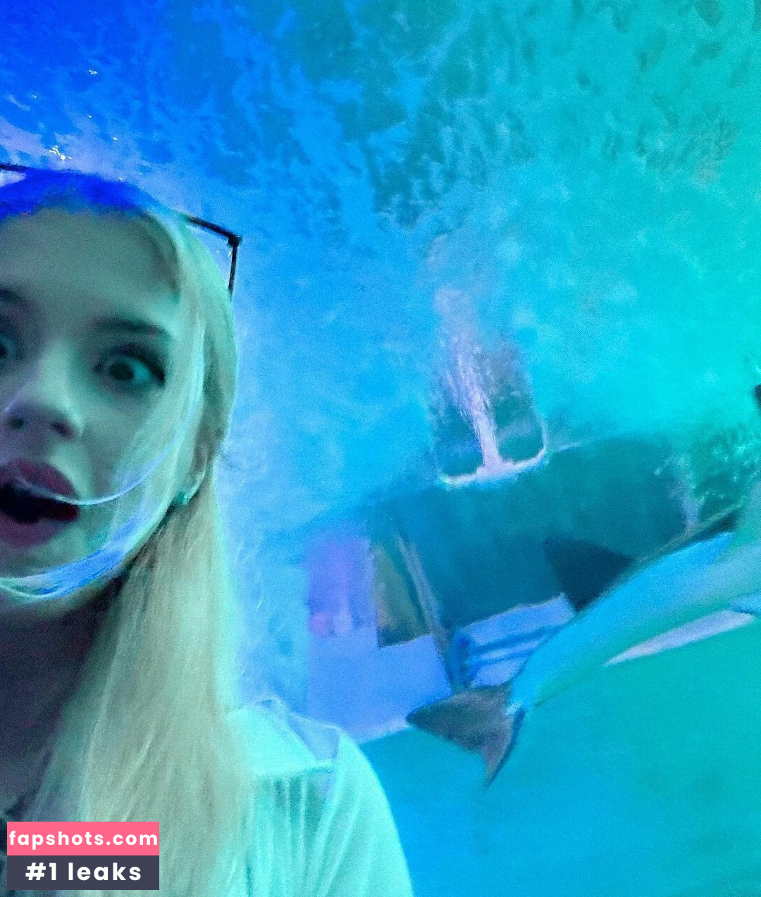 Berticuss gallery photo #247