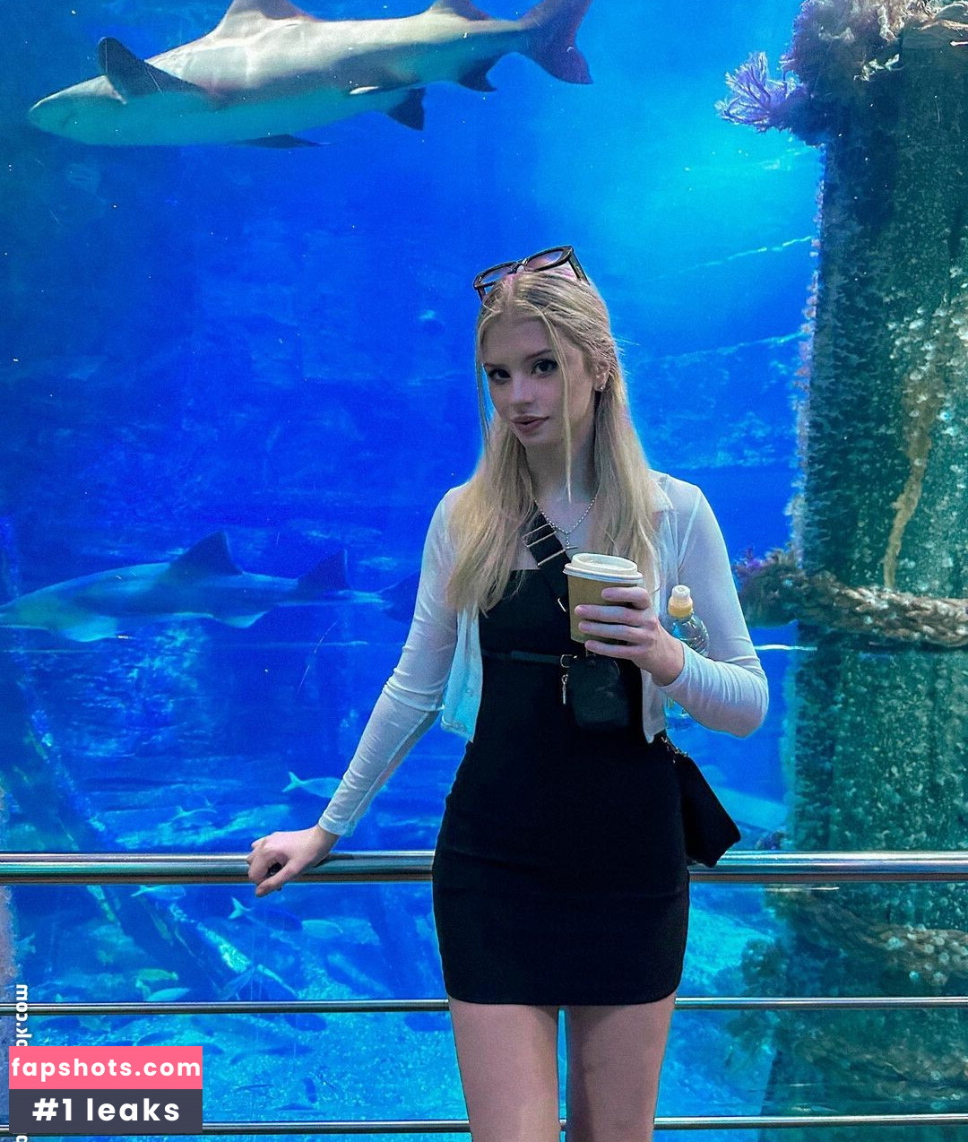 Berticuss gallery photo #249