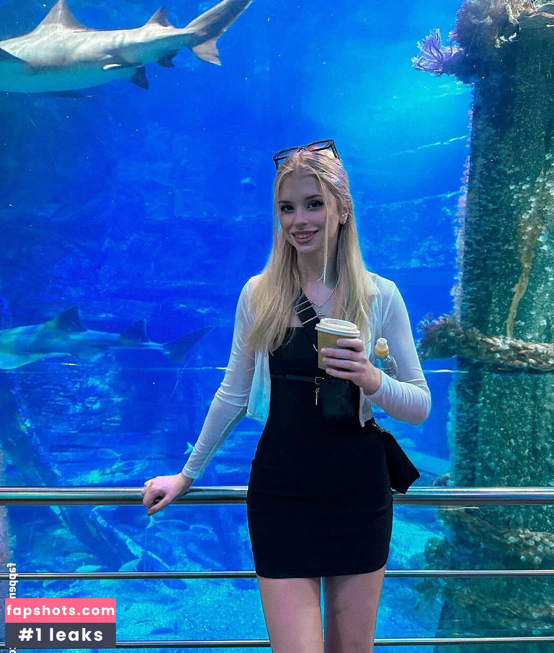 Berticuss gallery photo #250