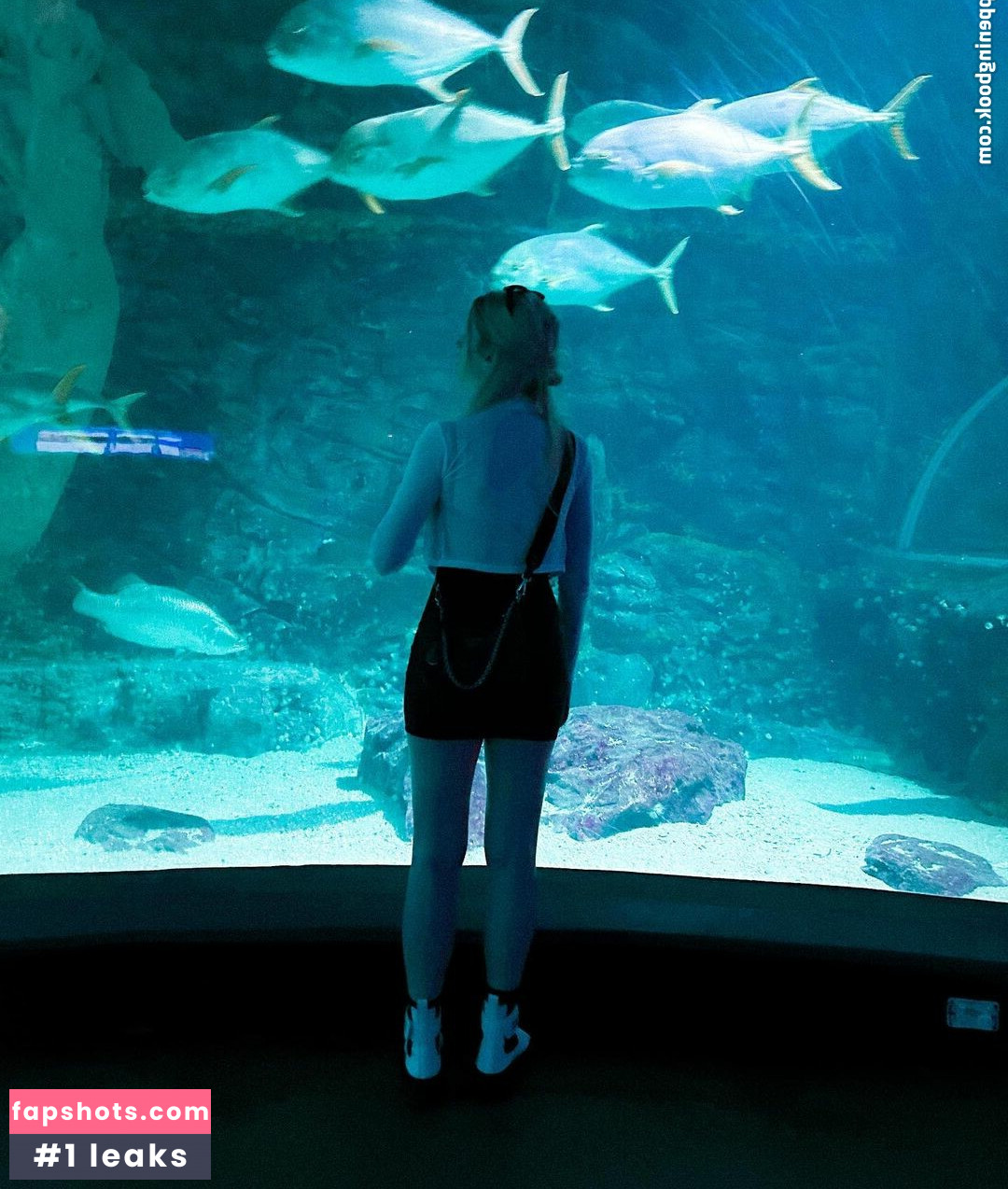 Berticuss gallery photo #251