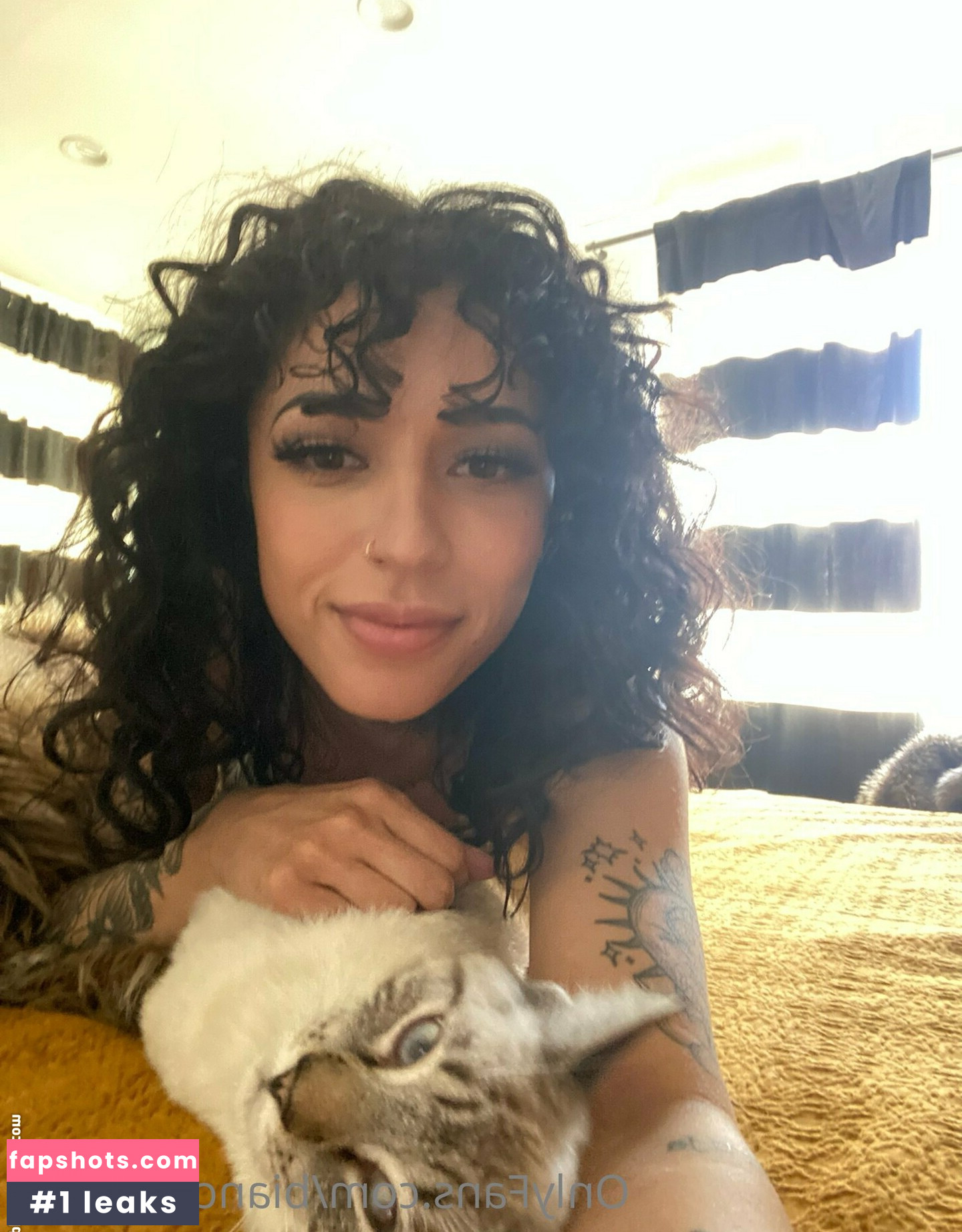 biancataylorm gallery photo #13