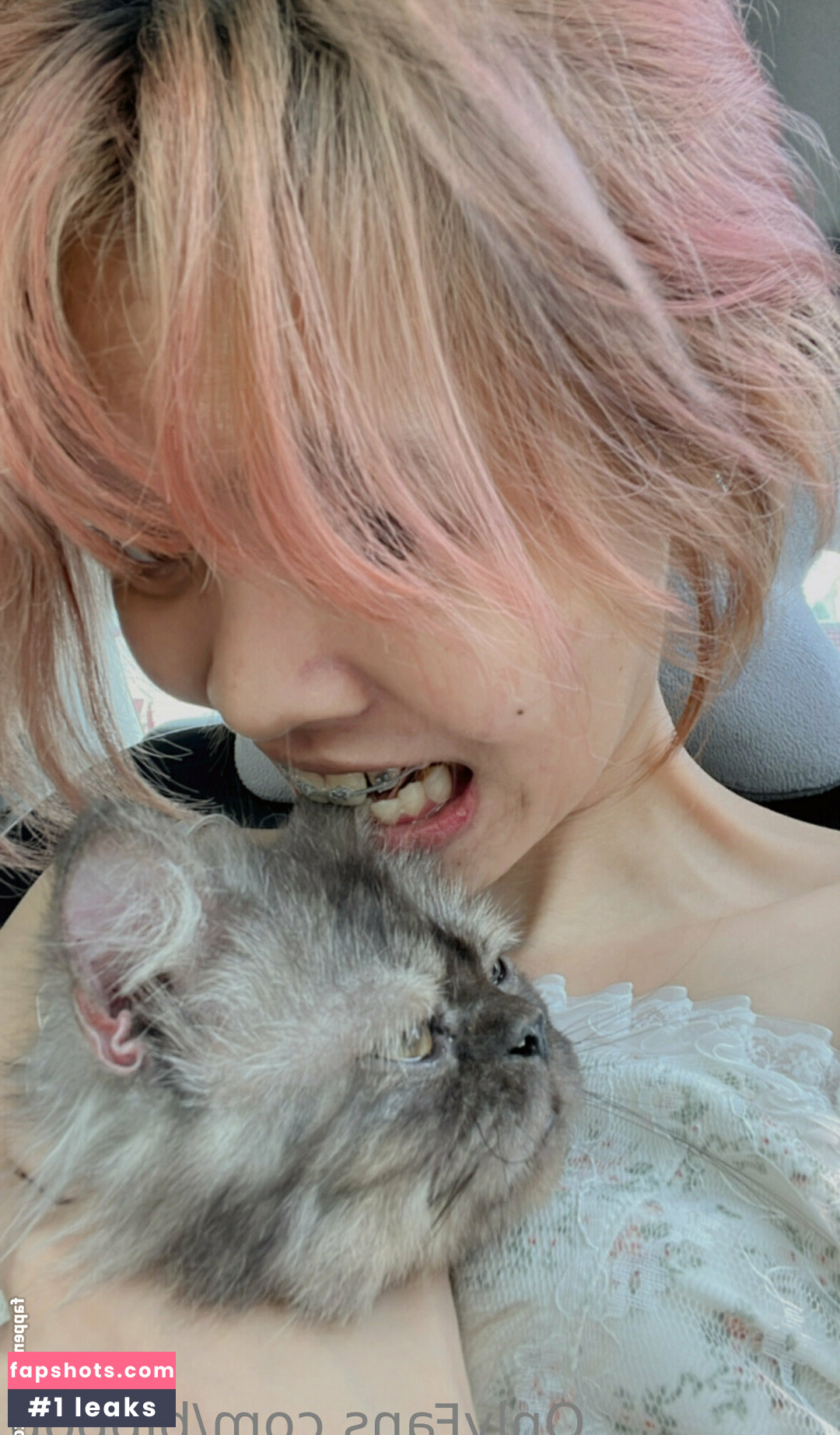 bibbob gallery photo #4