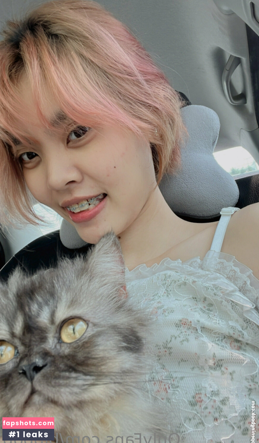 bibbob gallery photo #5