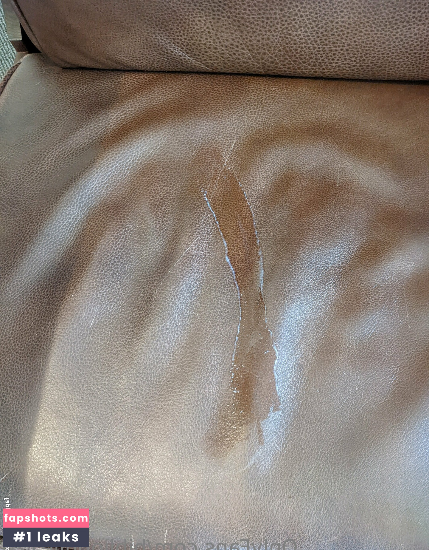 bibliophile120 gallery photo #50