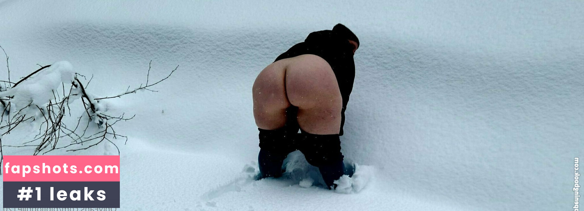 bibliophile120 gallery photo #63