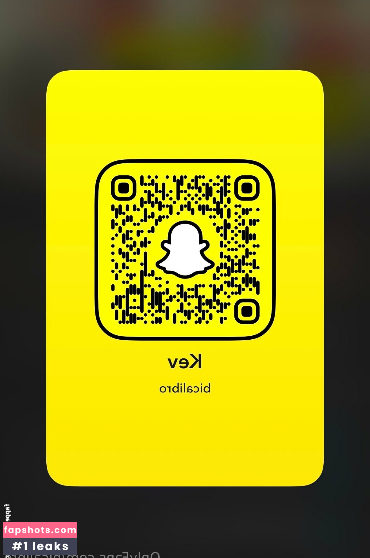 bicalibro gallery photo #5